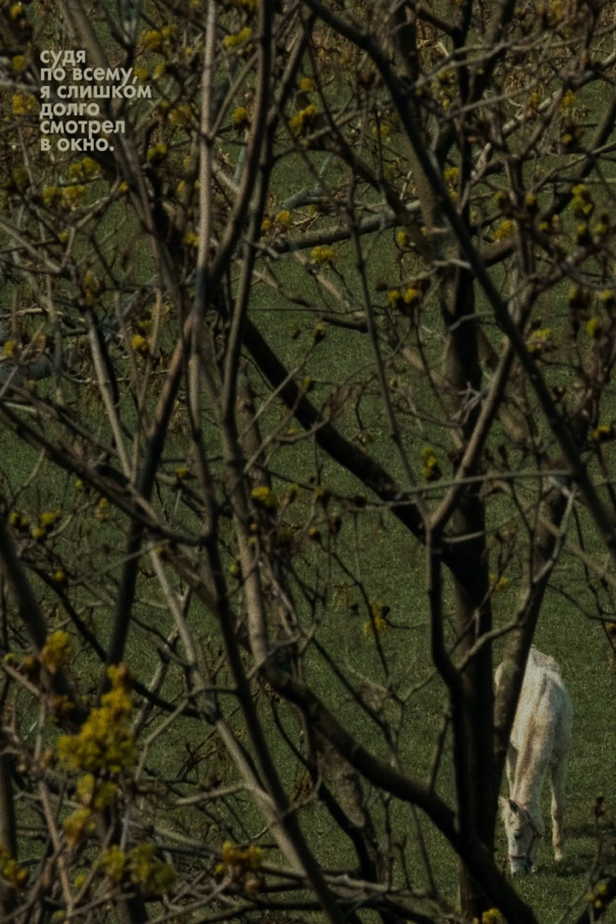 Постер фильма Судя по всему, я слишком долго смотрел в окно