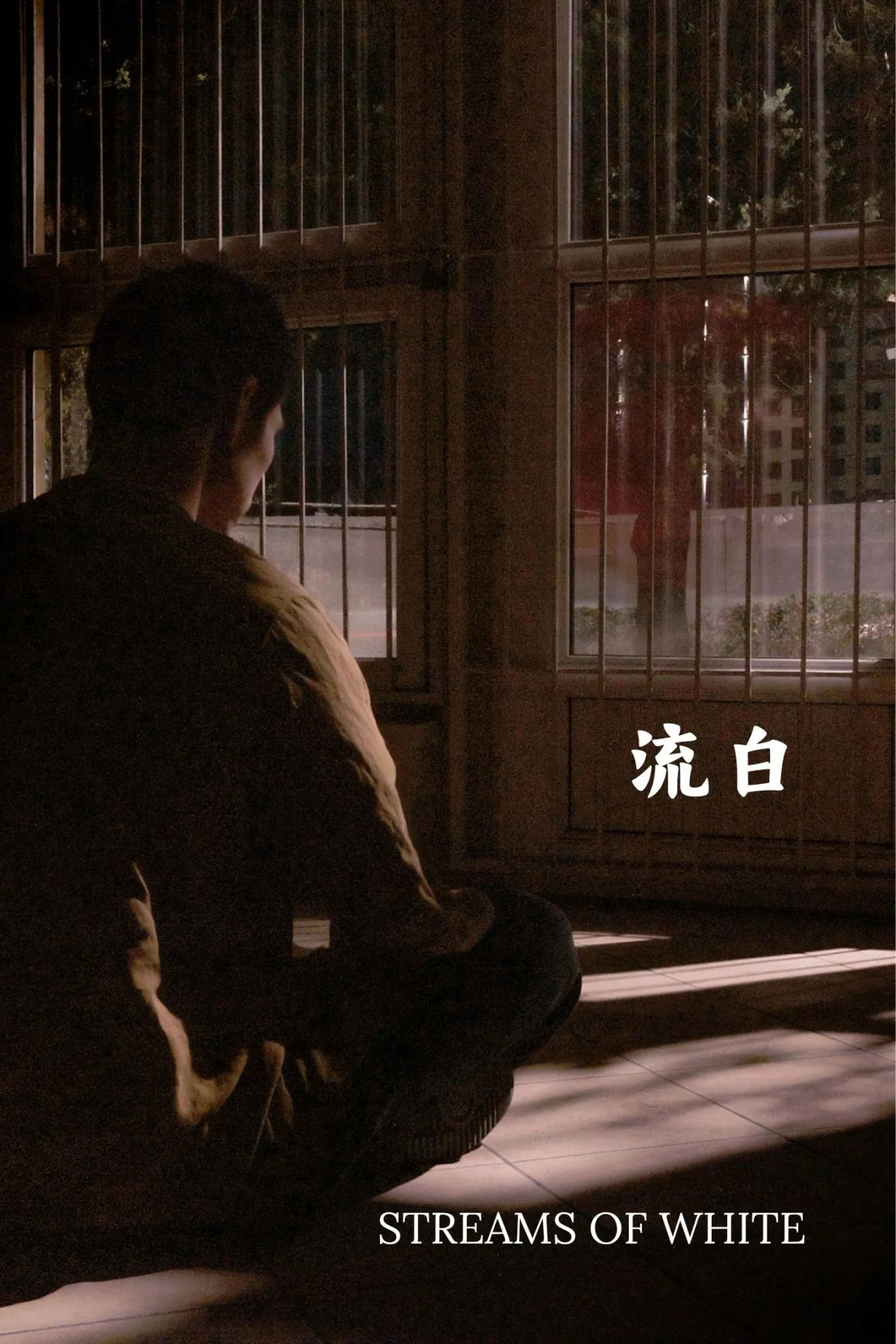 Постер фильма Течения белого