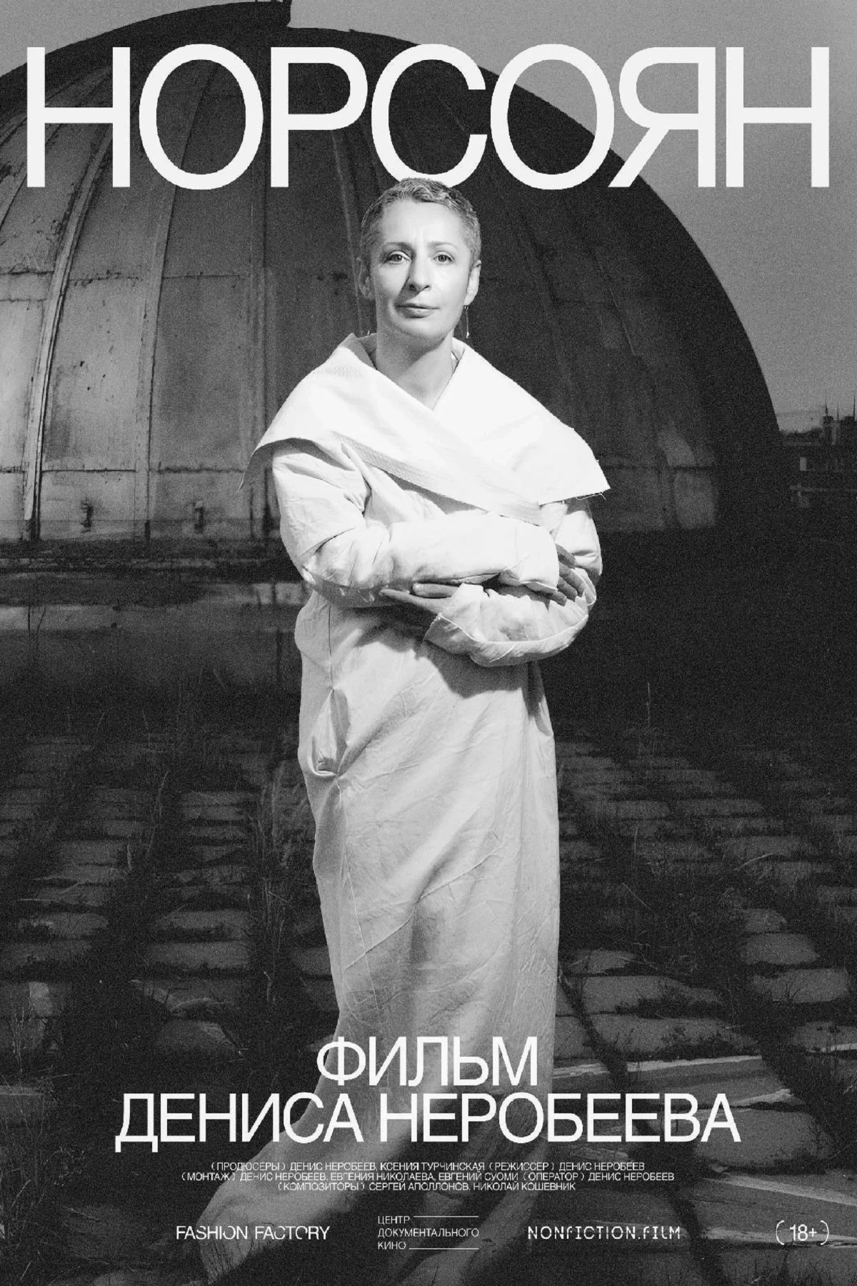 Постер фильма Норсоян