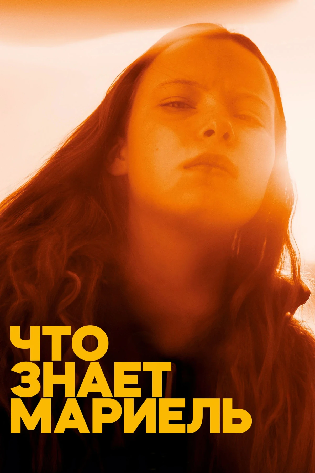 Постер фильма Что знает Мариэль