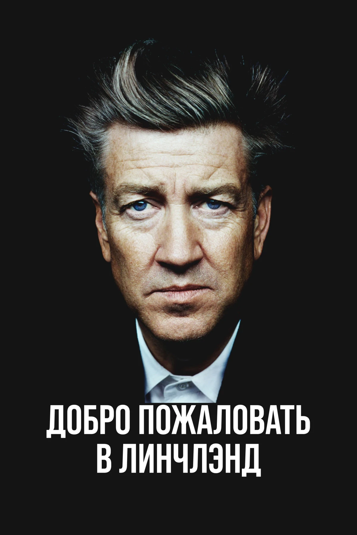 Постер фильма Добро пожаловать в Линчлэнд