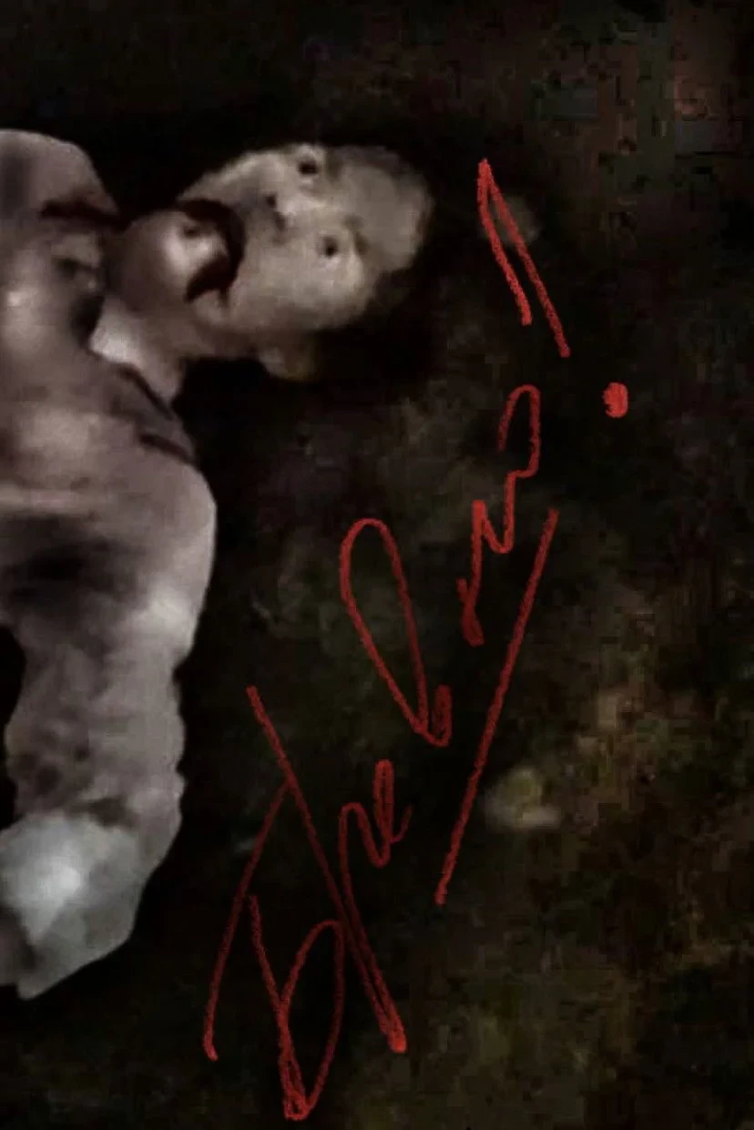 Постер фильма Бревно!