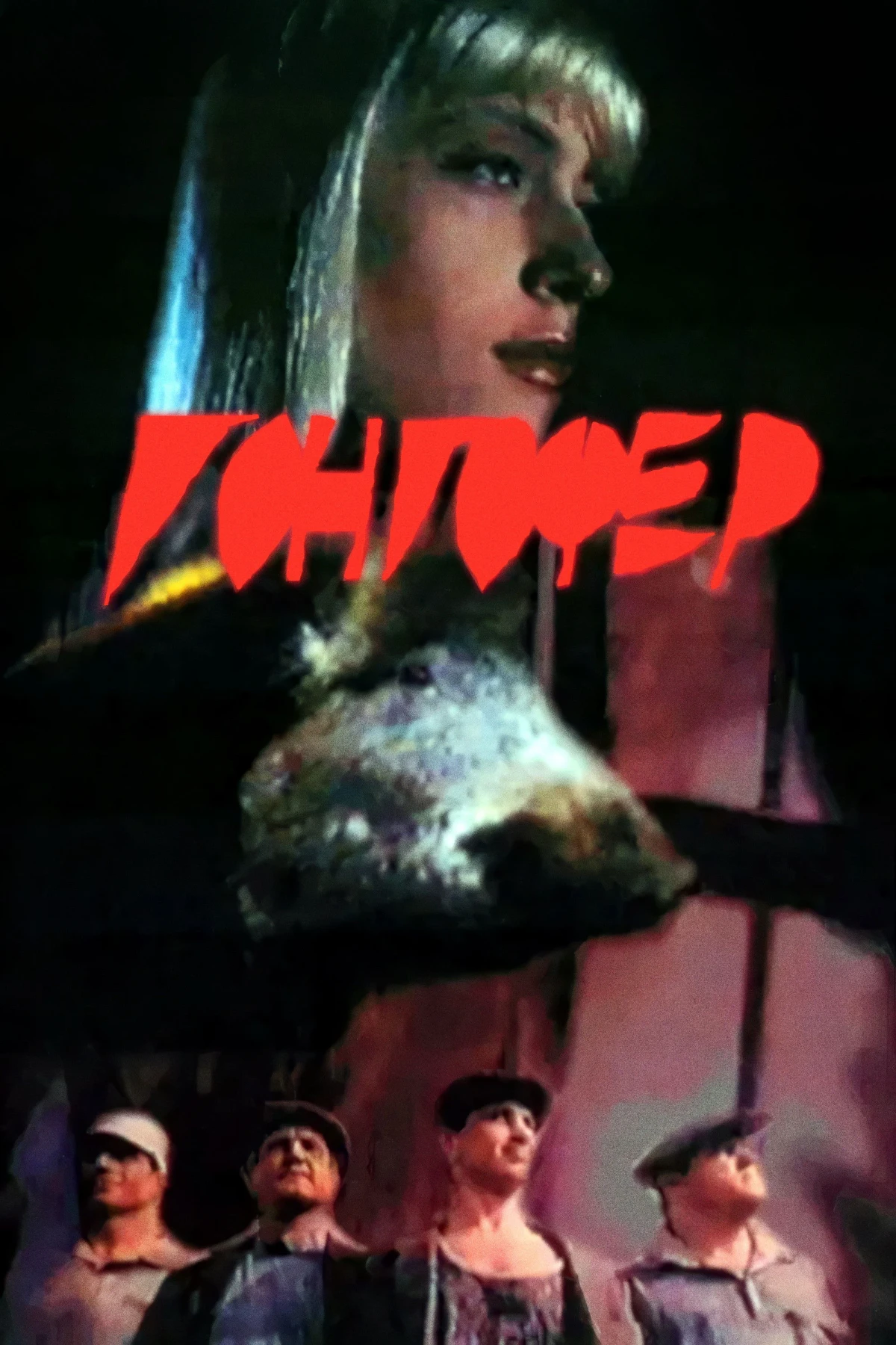 Постер фильма Гонгофер