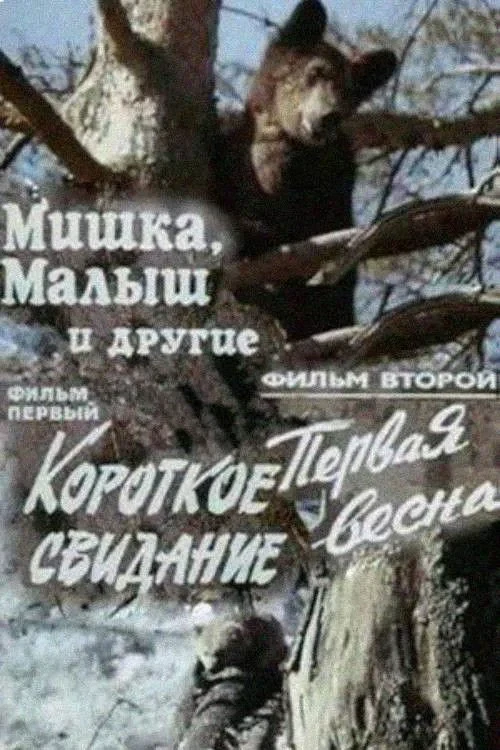 Постер фильма Мишка, Малыш и другие