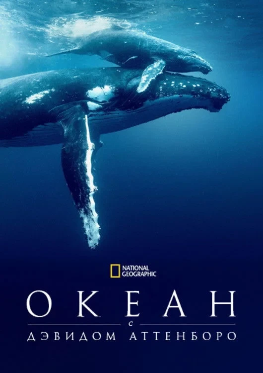 Постер фильма Океан с Дэвидом Аттенборо