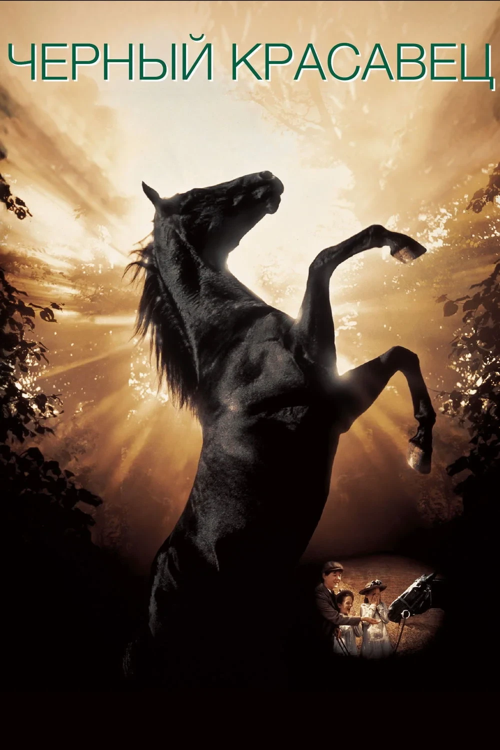 Постер фильма Черный красавец