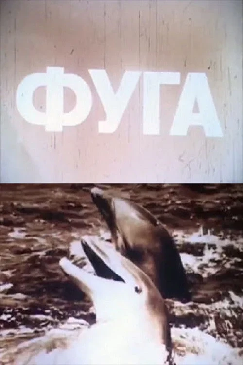 Постер фильма Фуга