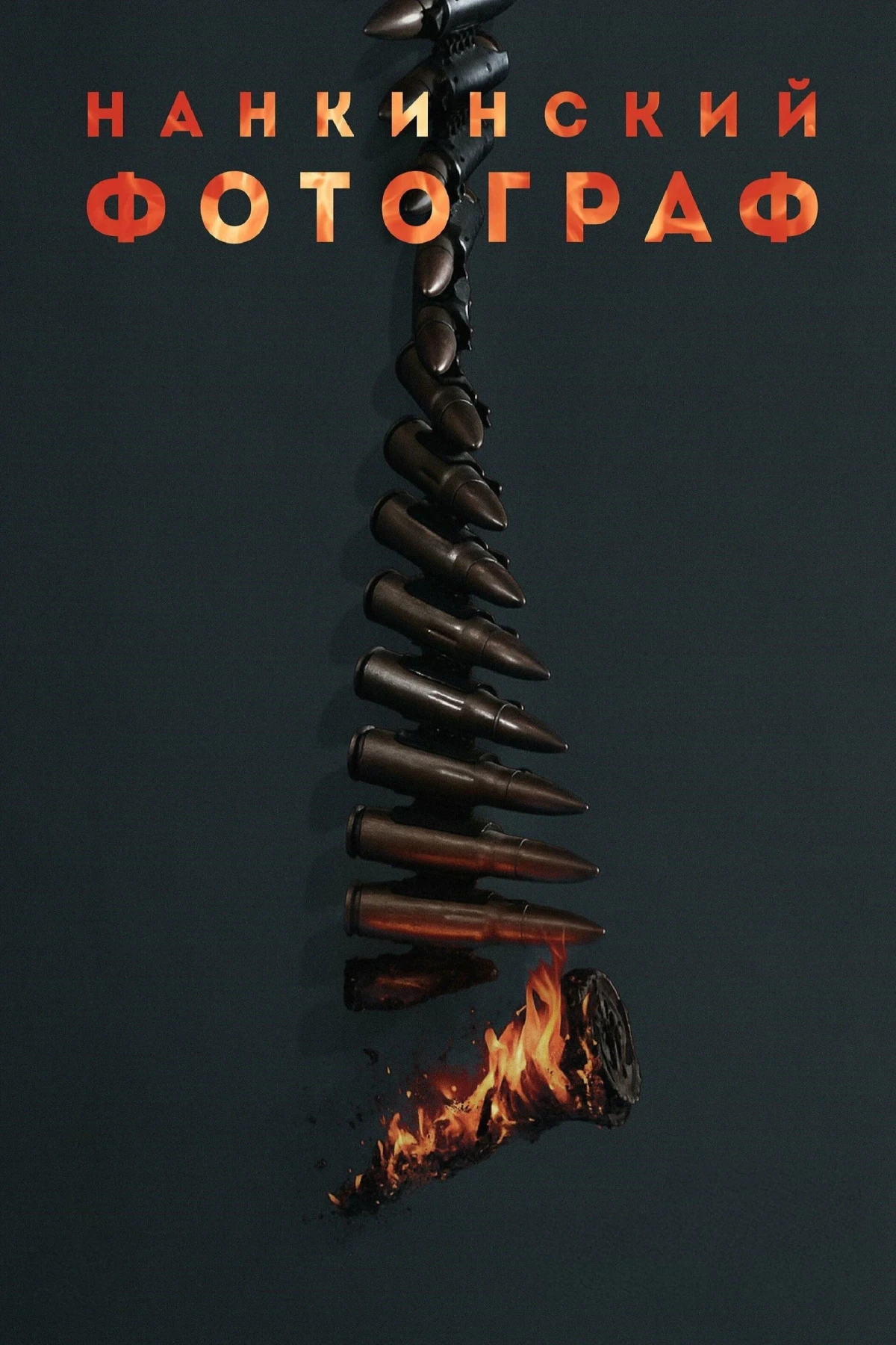 Постер фильма Нанкинский фотограф