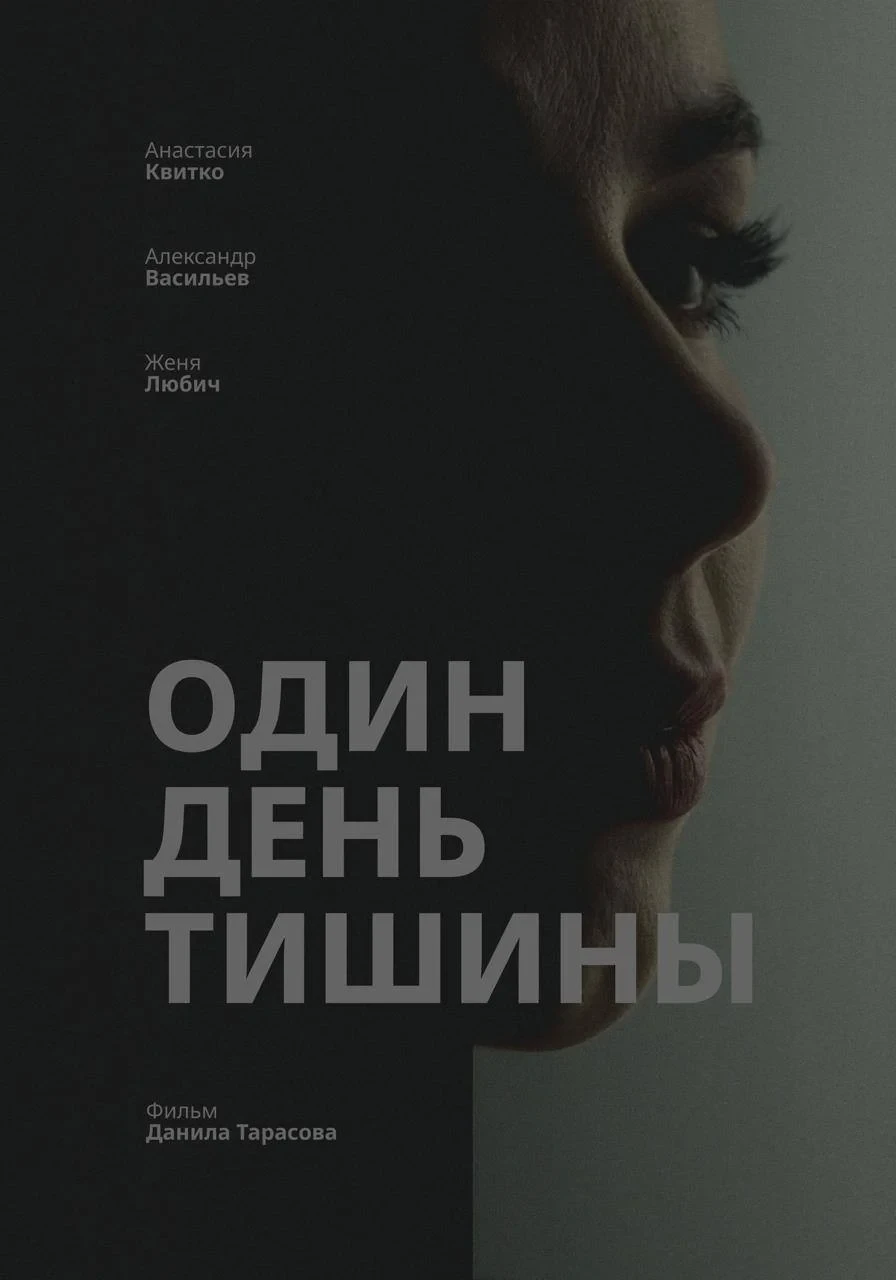 Постер фильма Один день тишины