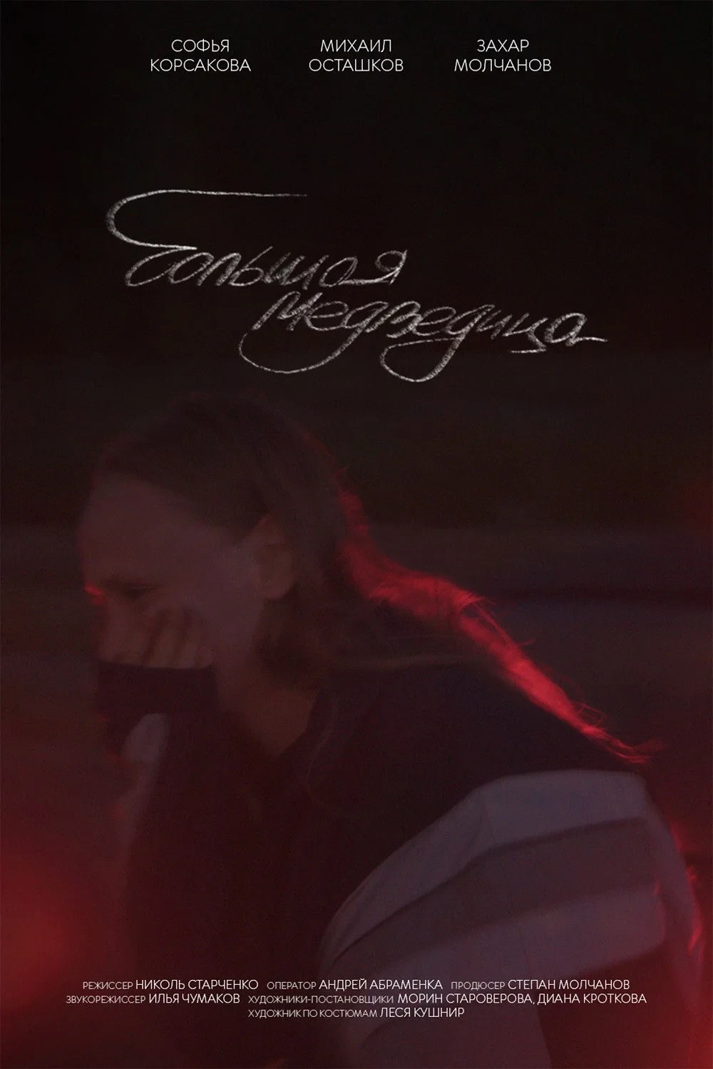 Постер фильма Большая медведица