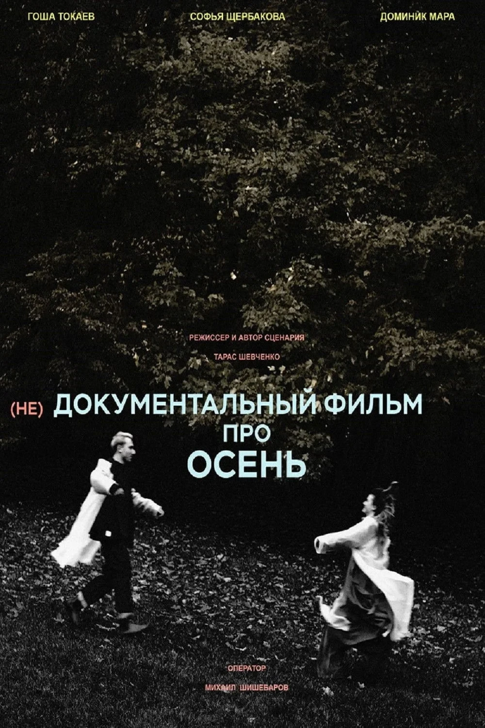 Постер фильма (не)Документальный фильм про осень