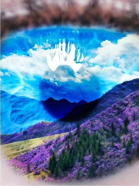 Постер фильма Пять чувств Алтая