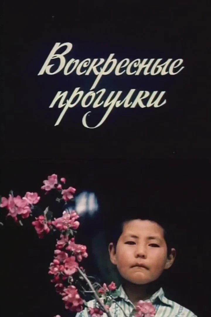 Постер фильма Воскресные прогулки