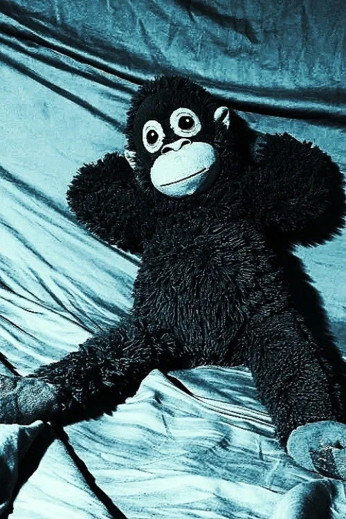 Постер фильма Как правильно снимать курсовую за один день