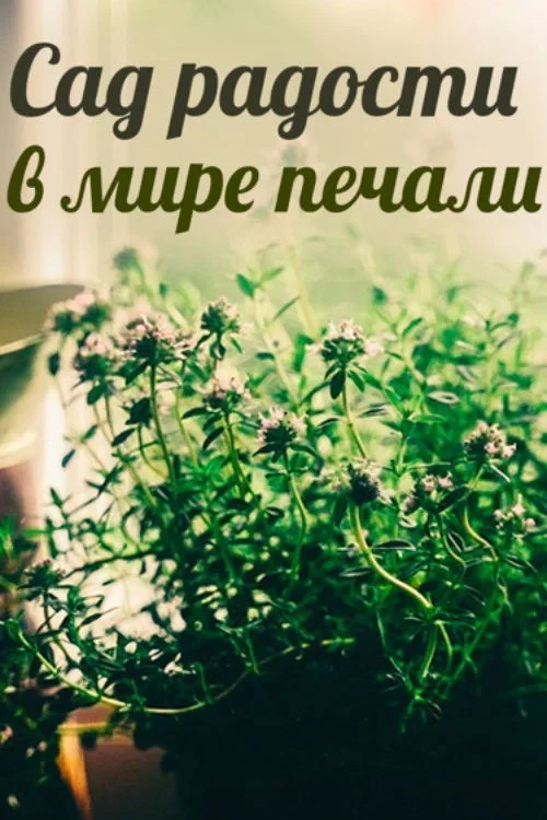 Постер фильма Сад радости в мире печали