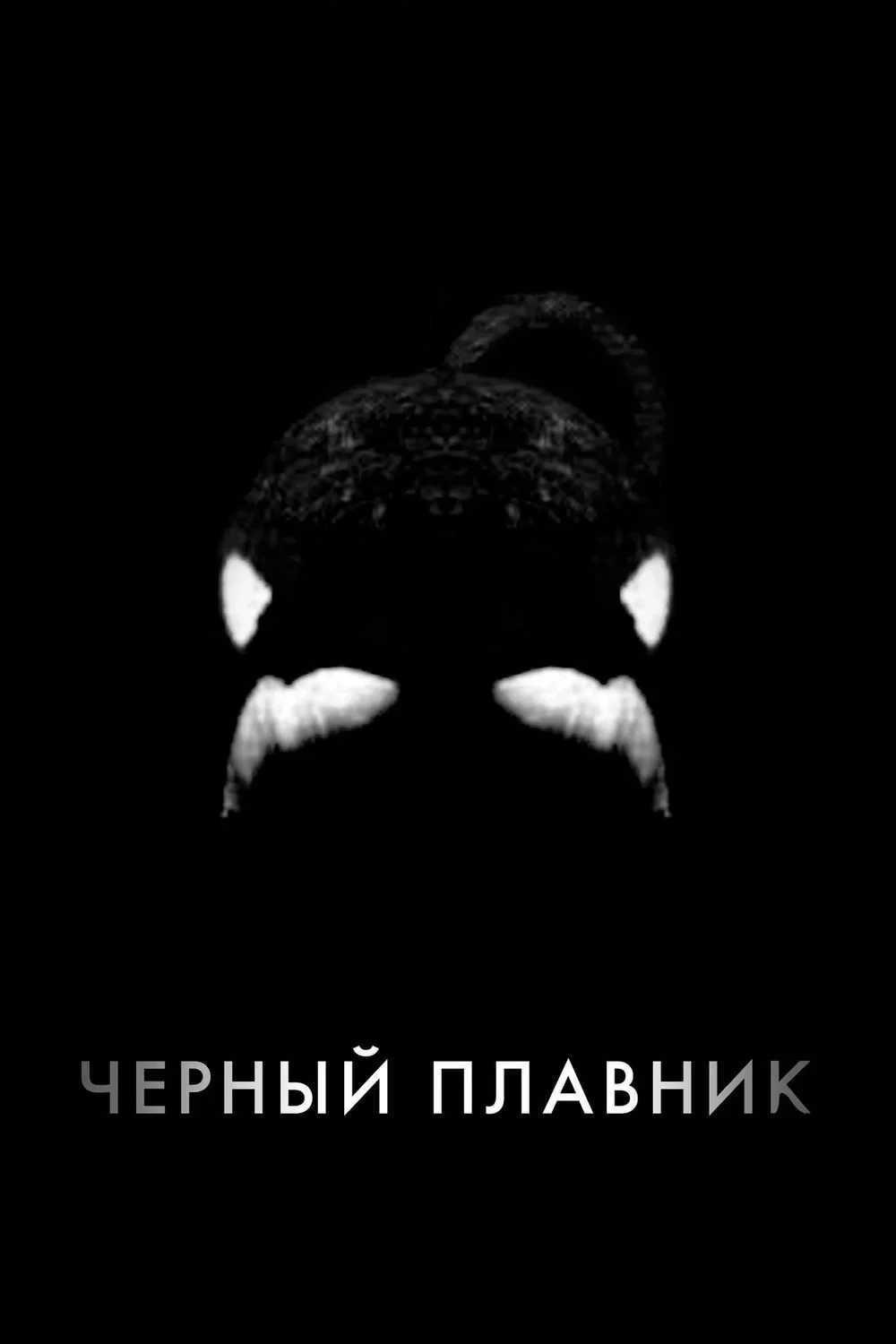 Постер фильма Чёрный плавник