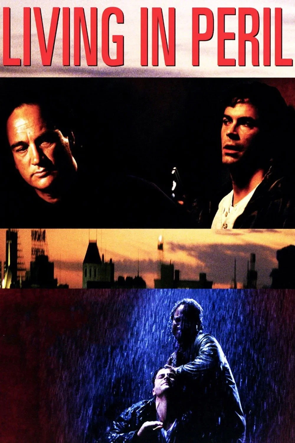 Постер фильма Рискуя жизнью