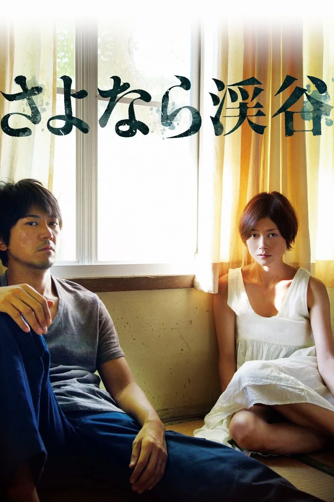 Постер фильма Долина прощаний