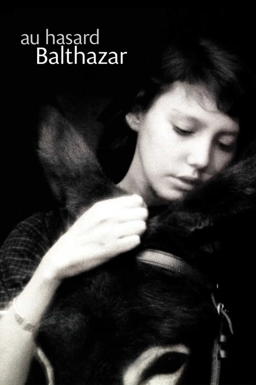 Постер фильма Наудачу, Бальтазар