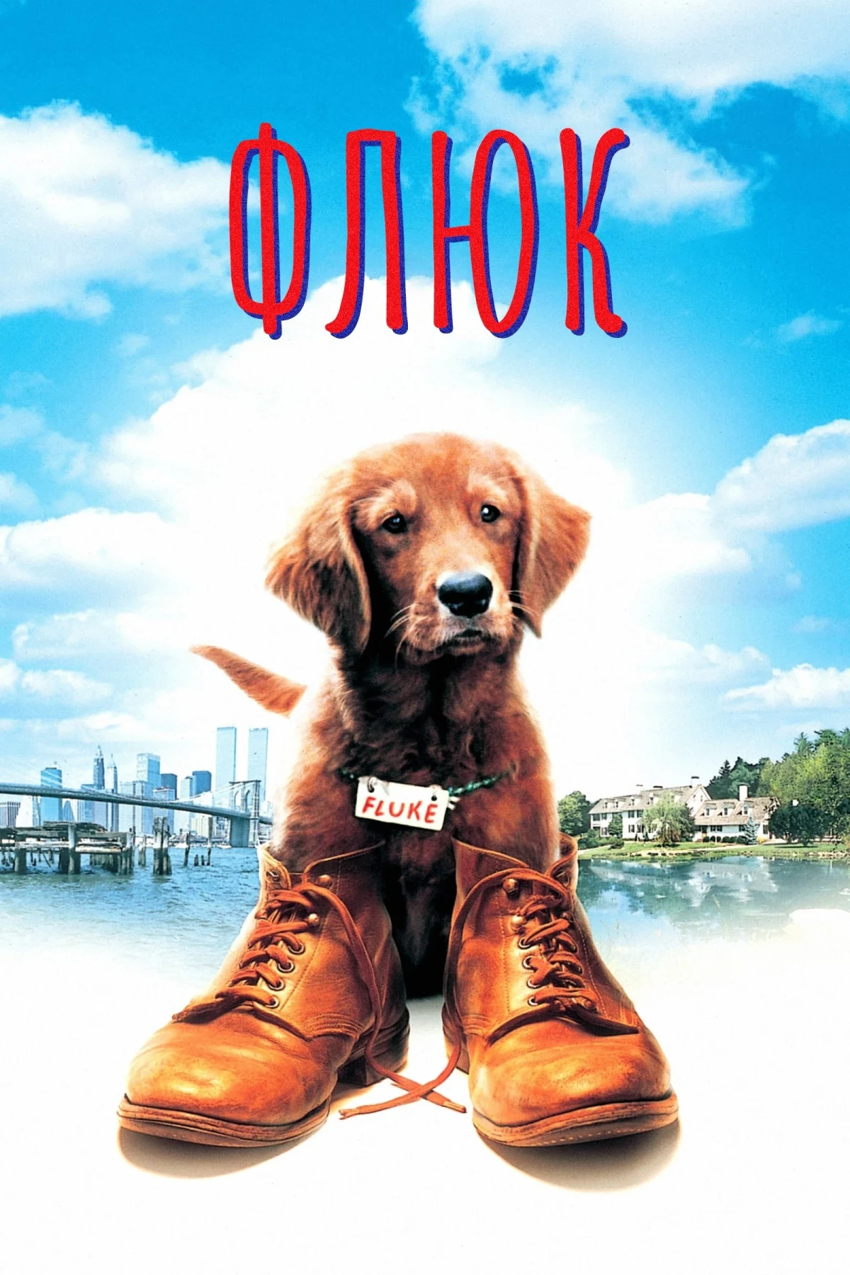 Постер фильма Флюк