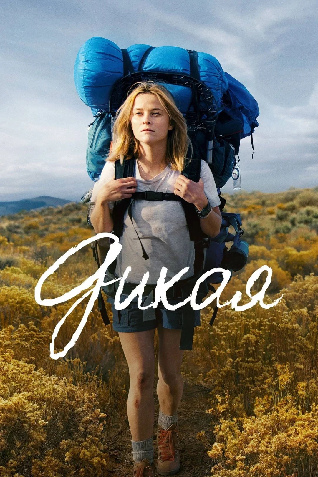 Постер фильма Дикая