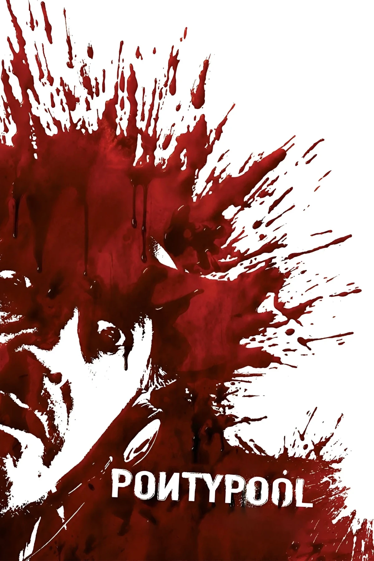 Постер фильма Понтипул