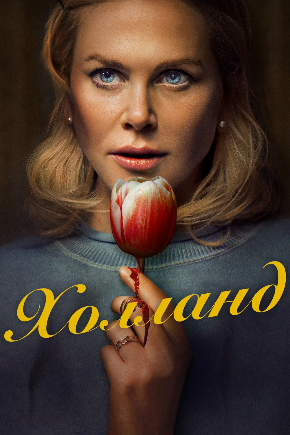 Постер фильма Холланд