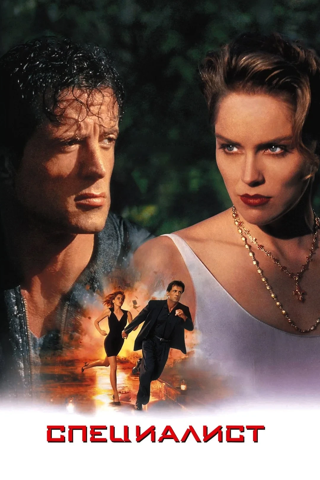 Постер фильма Специалист