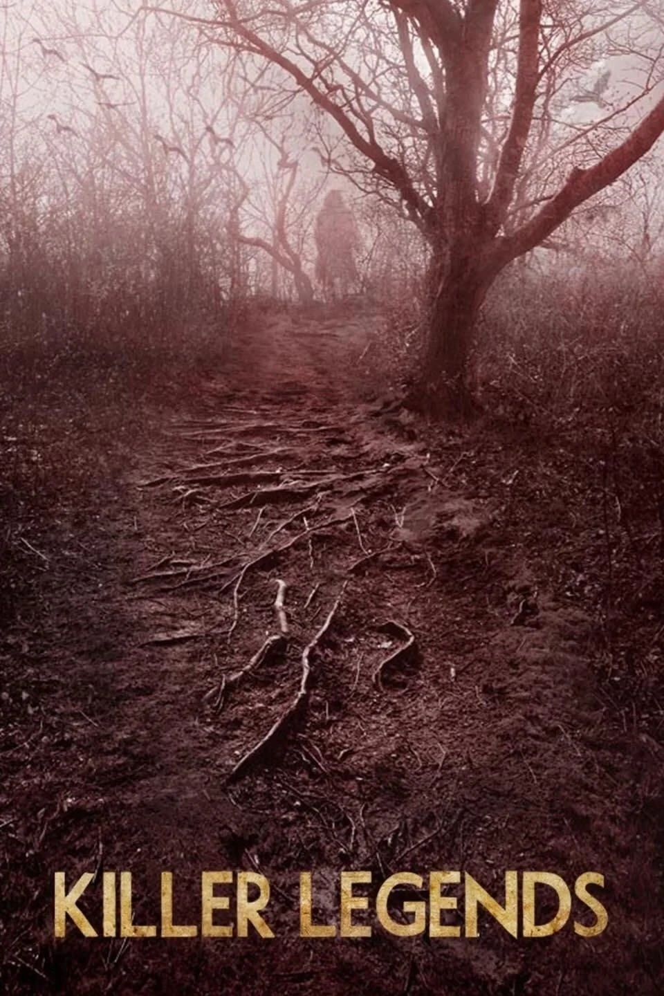 Постер фильма Убийственные легенды
