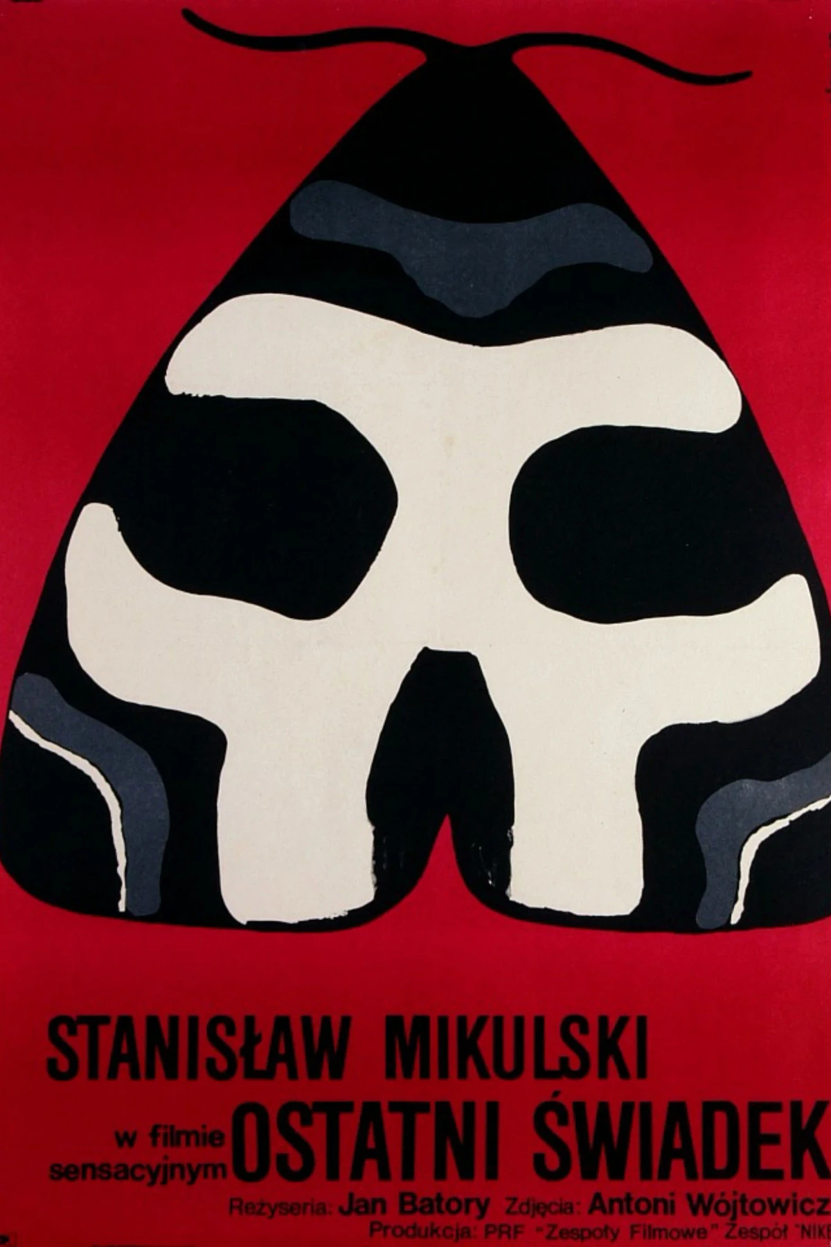 Постер фильма Последний свидетель