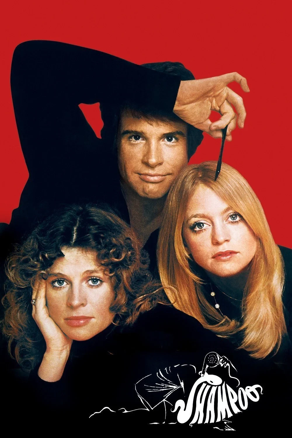 Постер фильма Шампунь