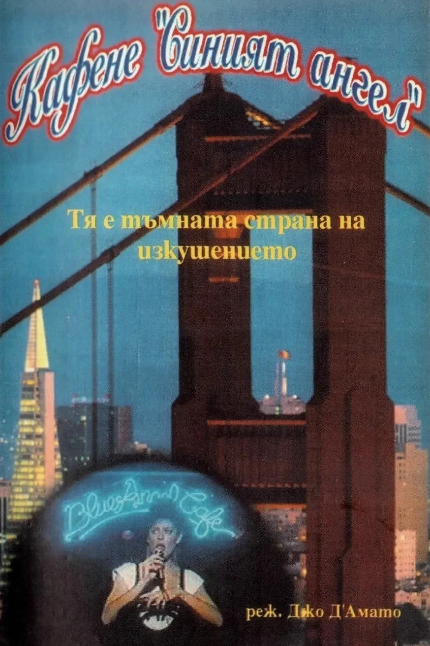 Постер фильма Объект желания