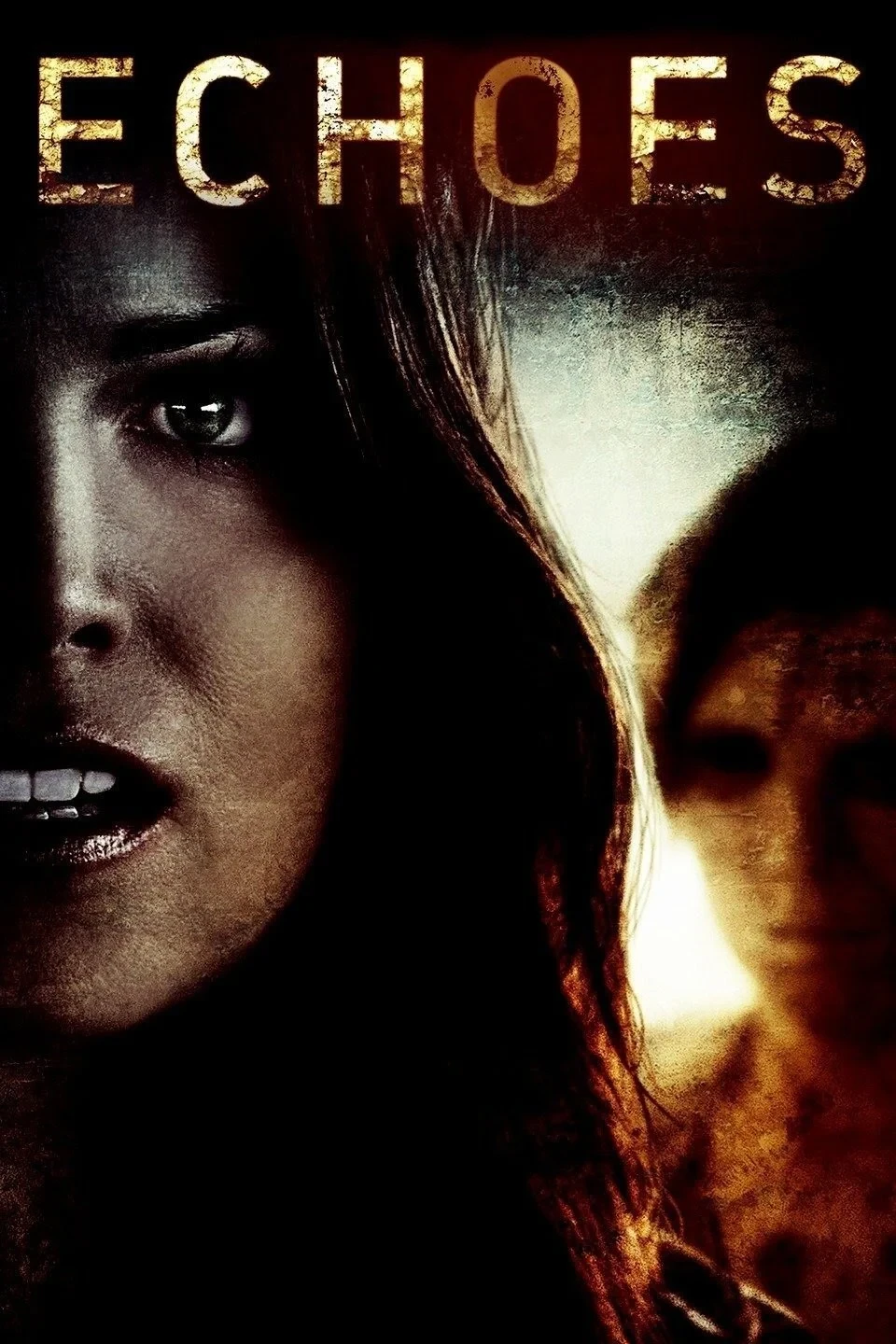 Постер фильма Отголоски