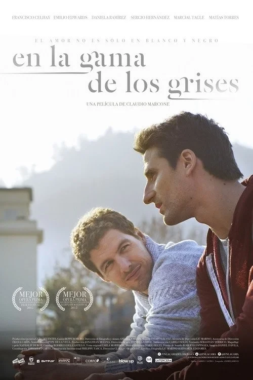 Постер фильма В оттенках серого