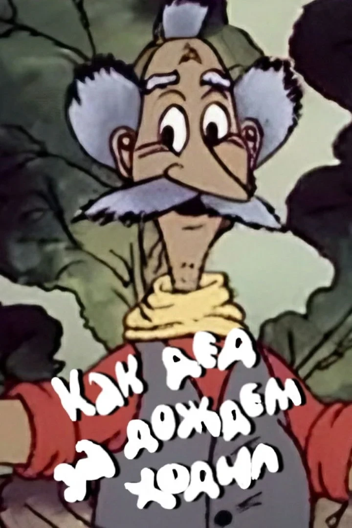 Постер фильма Как дед за дождём ходил