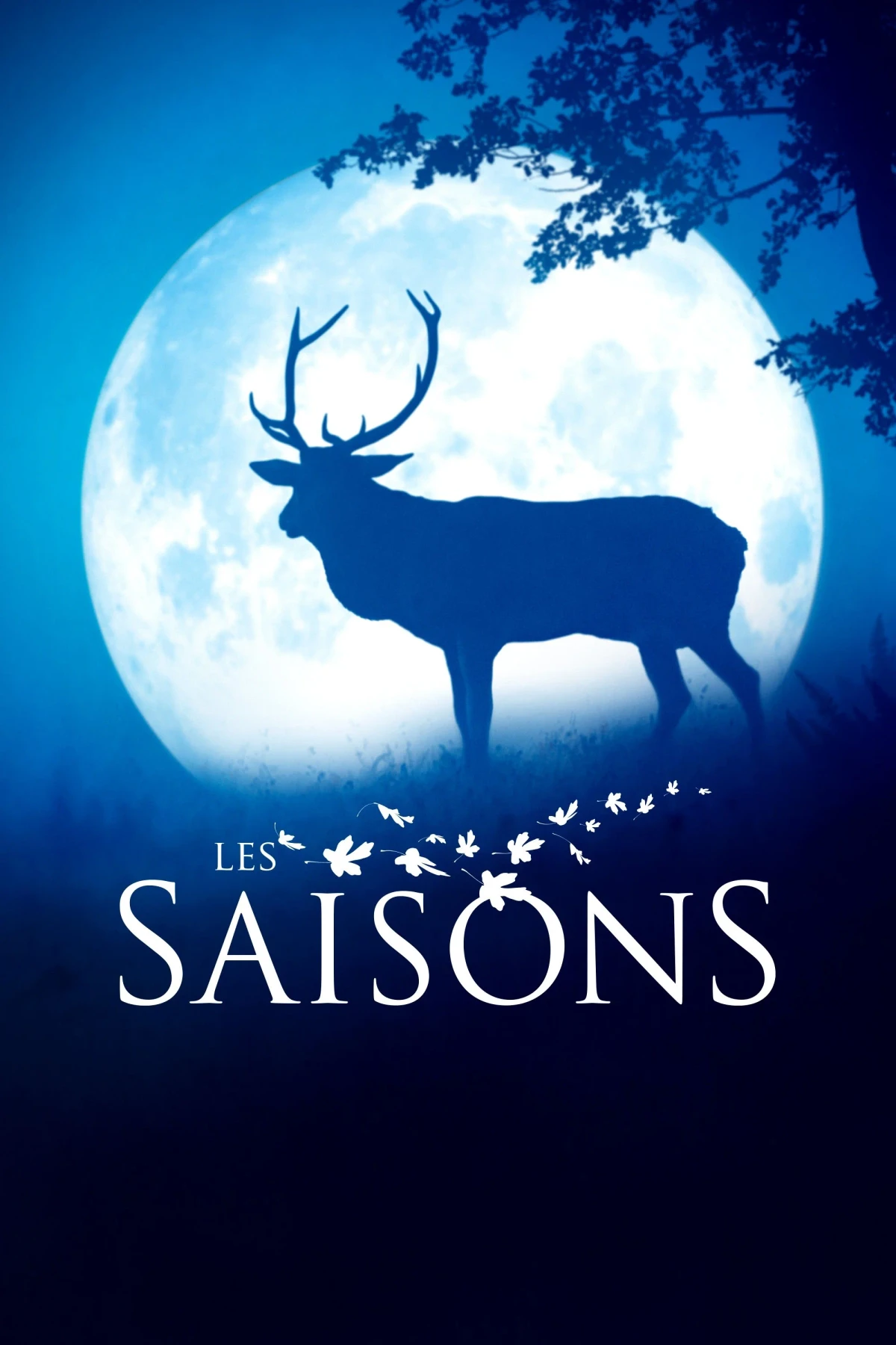 Постер фильма Времена года