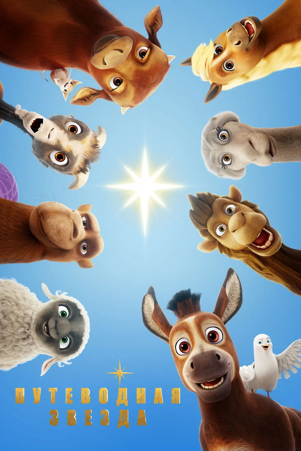 Постер фильма Путеводная звезда