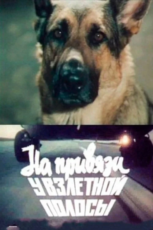 Постер фильма На привязи у взлетной полосы