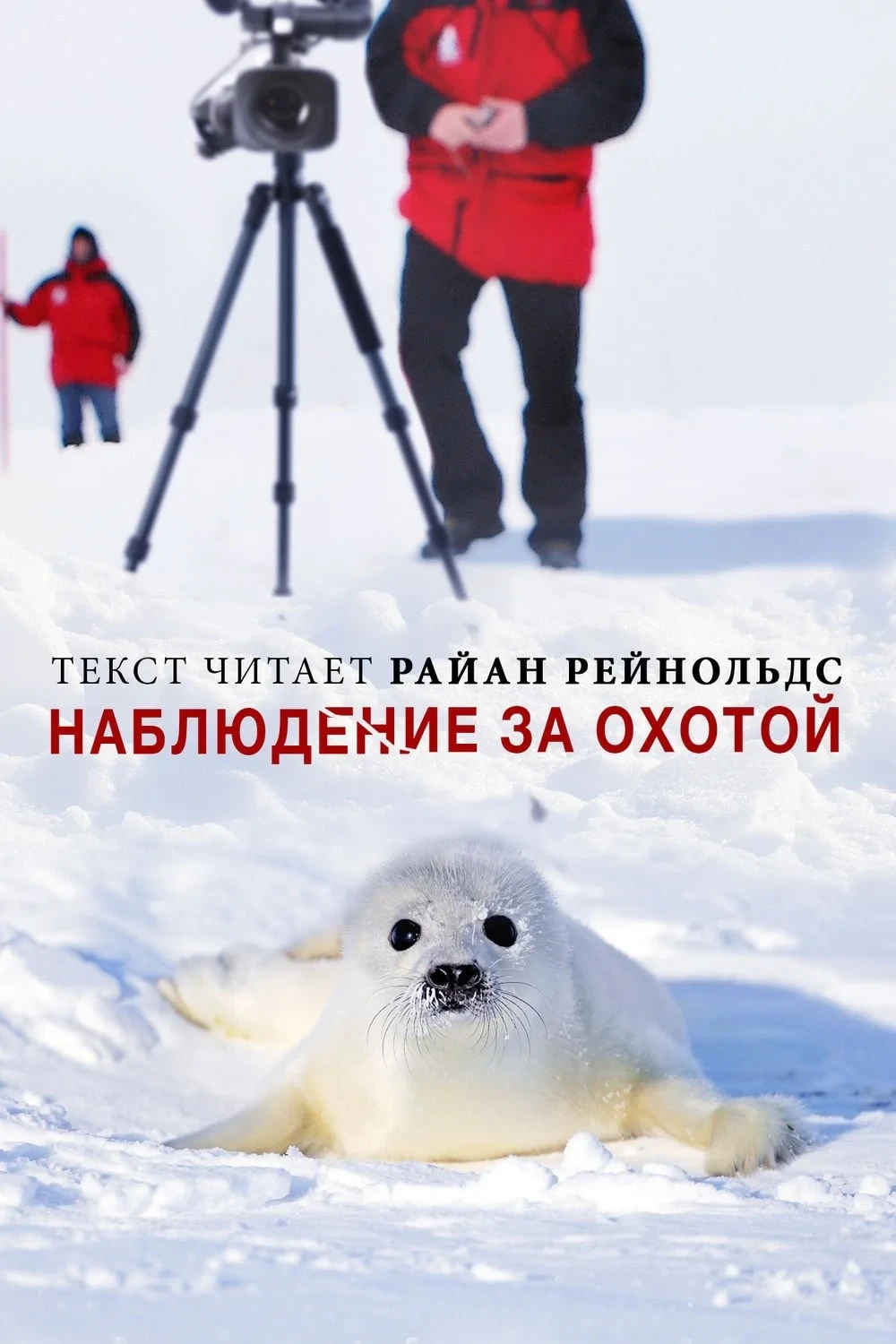 Постер фильма Наблюдение за охотой