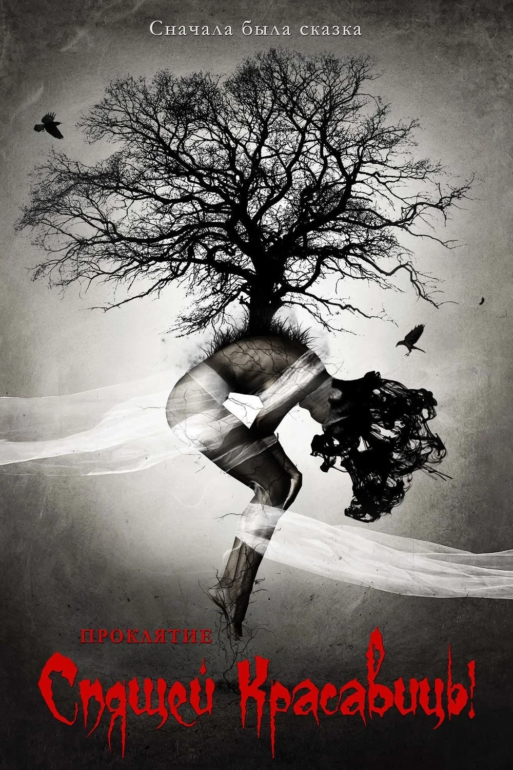 Постер фильма Проклятие Спящей красавицы