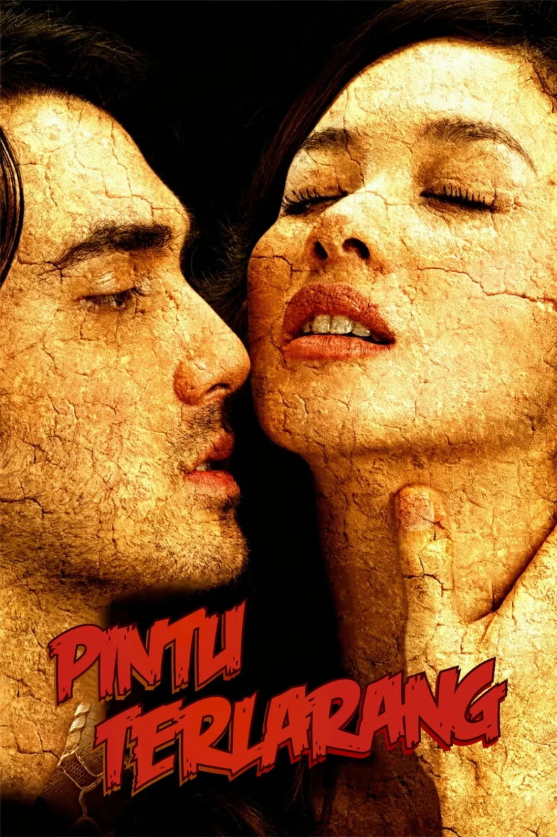 Постер фильма Запретная дверь