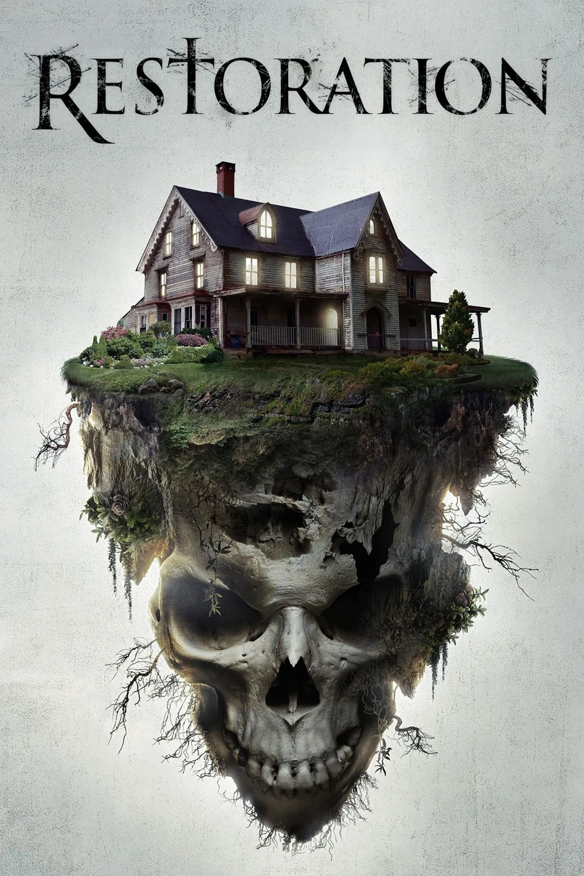 Постер фильма Перерождение