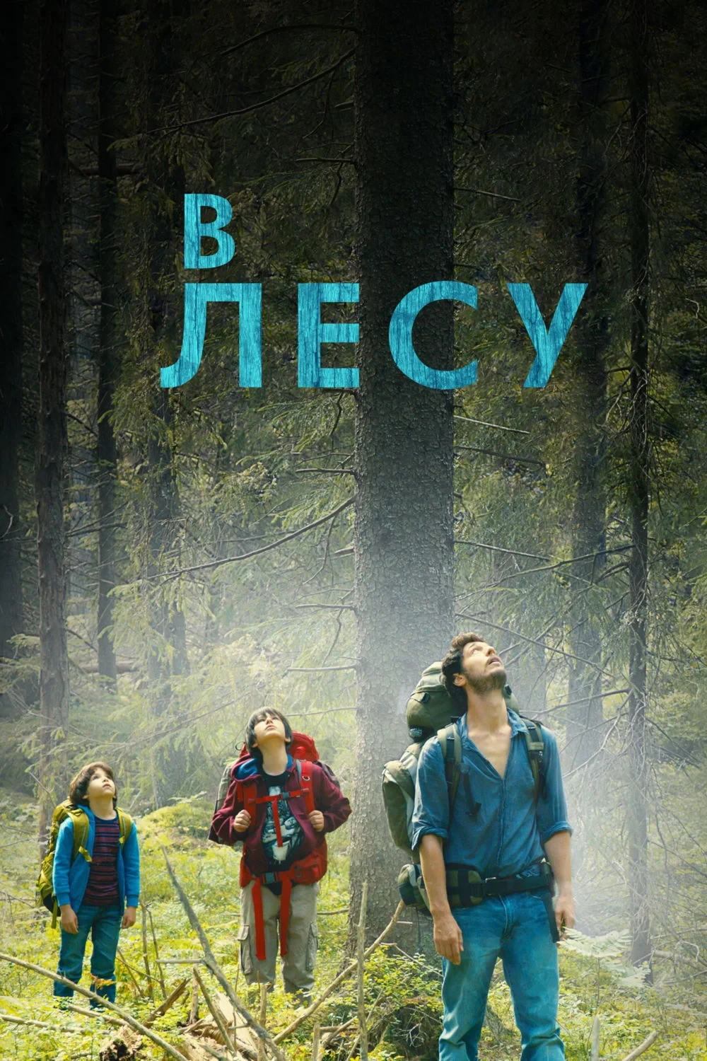 Постер фильма В лесу