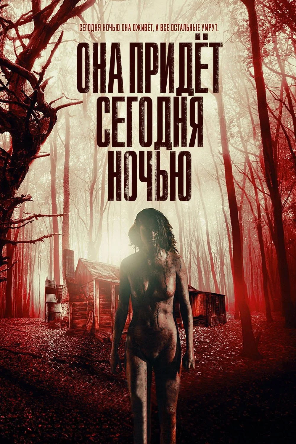 Постер фильма Она придёт сегодня ночью