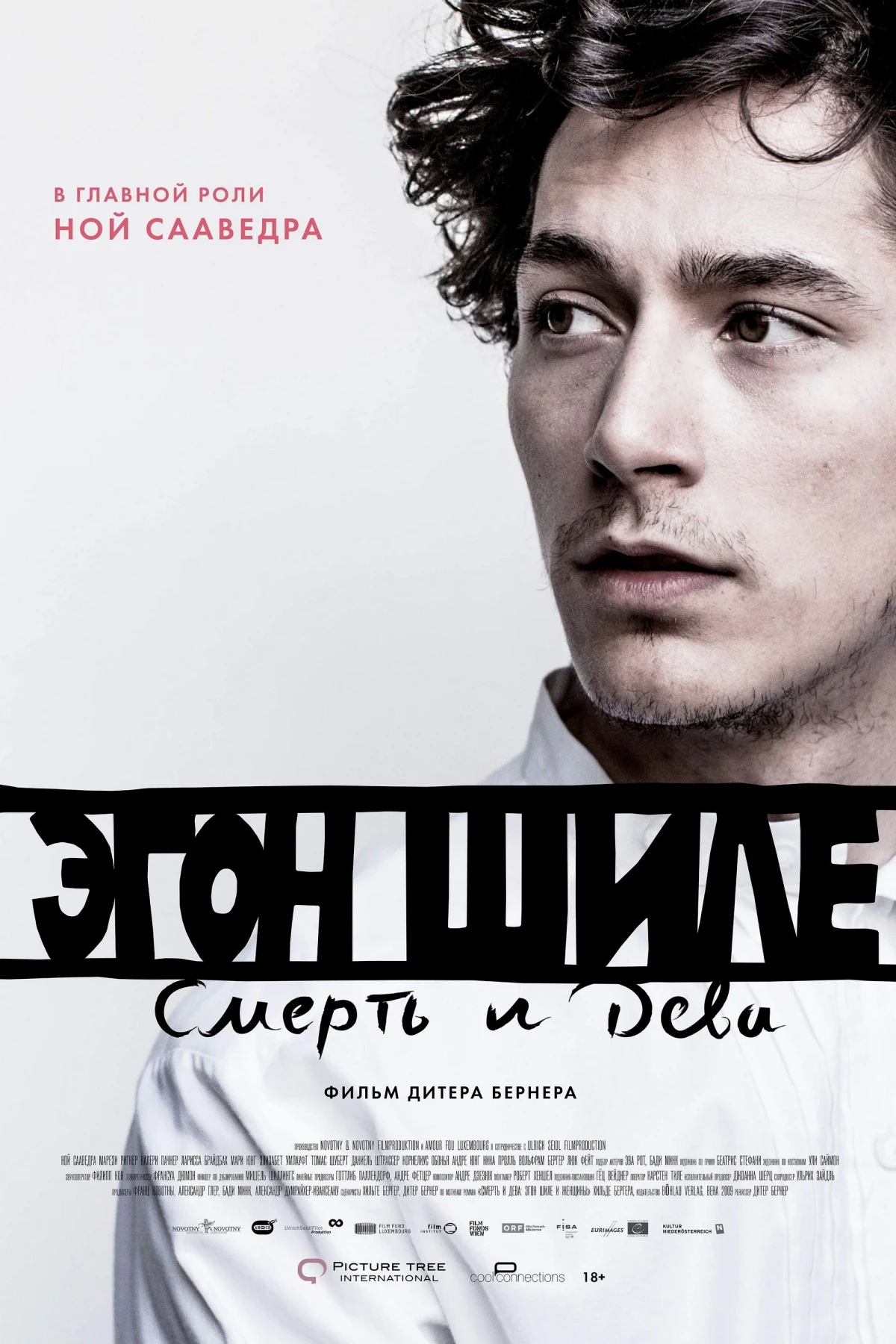 Постер фильма Эгон Шиле: Смерть и дева