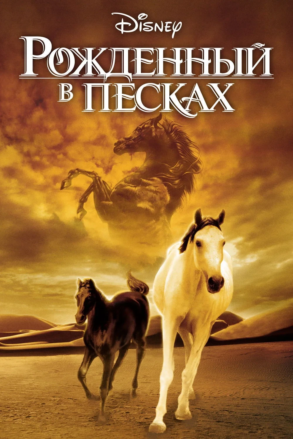 Постер фильма Рожденный в песках