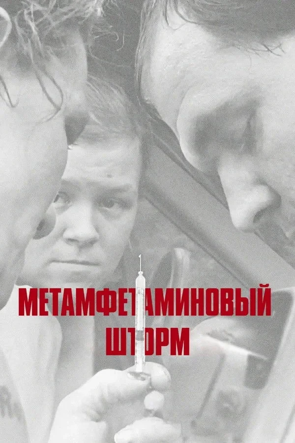 Постер фильма Метамфетаминовый шторм