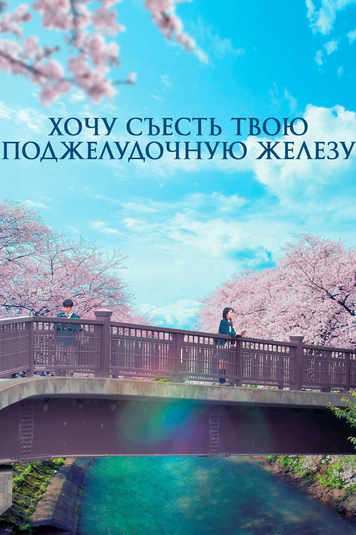 Постер фильма Хочу съесть твою поджелудочную железу