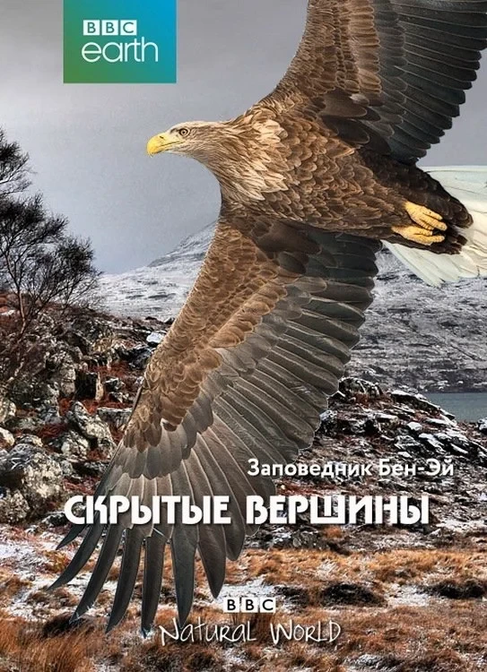 Постер фильма Скрытые вершины (Заповедник Бен-Эй)