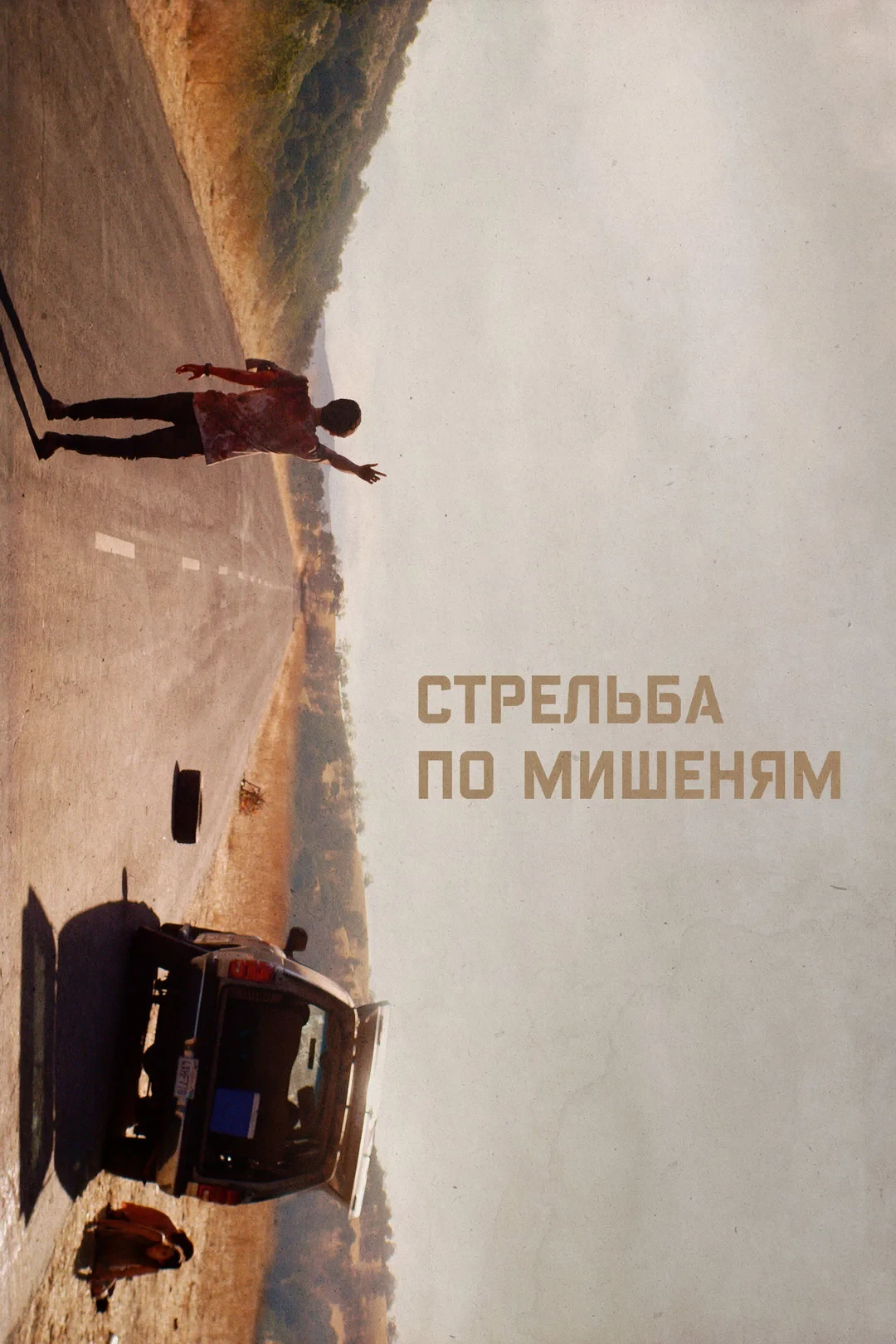 Постер фильма Стрельба по мишеням